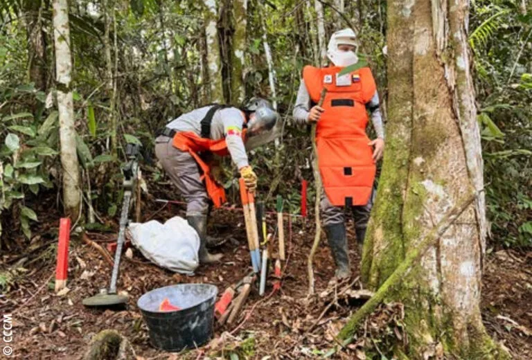De la violencia a la esperanza – Desminado y cacao sostenible en Colombia